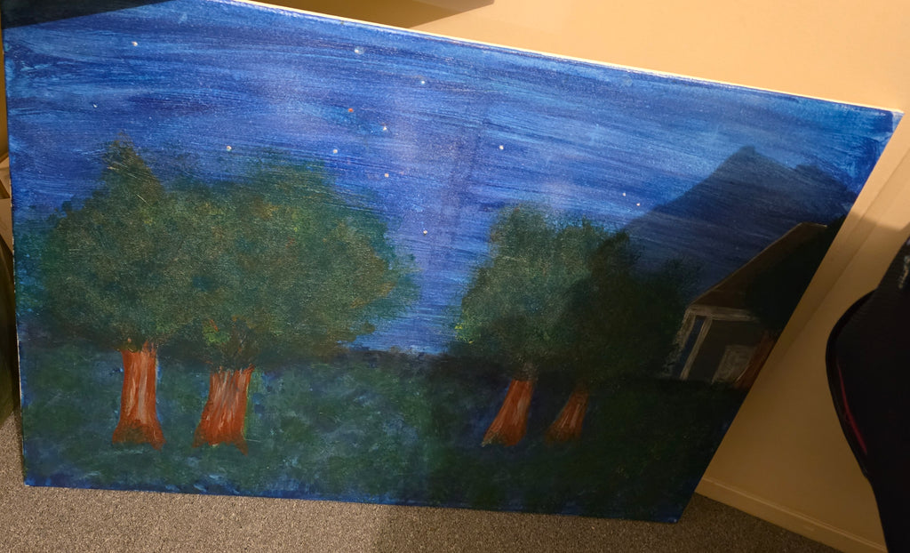 2 x canvas original paintings by nikkycole08 titles secret forest and nights sky