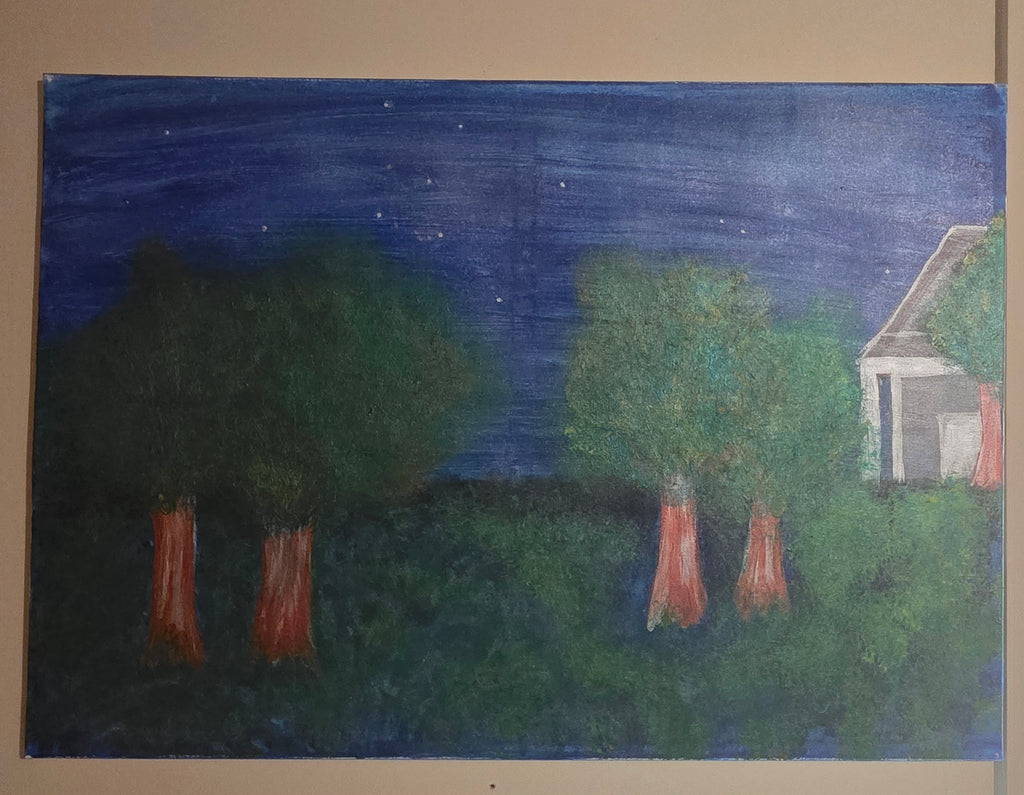 2 x canvas original paintings by nikkycole08 titles secret forest and nights sky